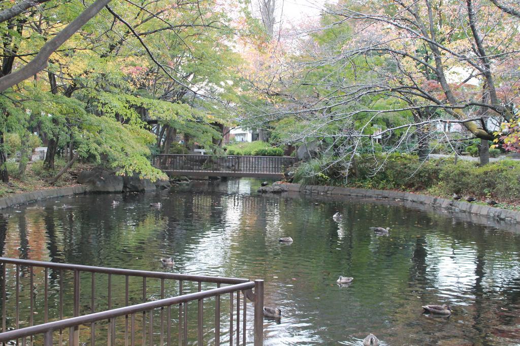 Grapehouse Koenji Vandrehjem Tokyo Eksteriør billede